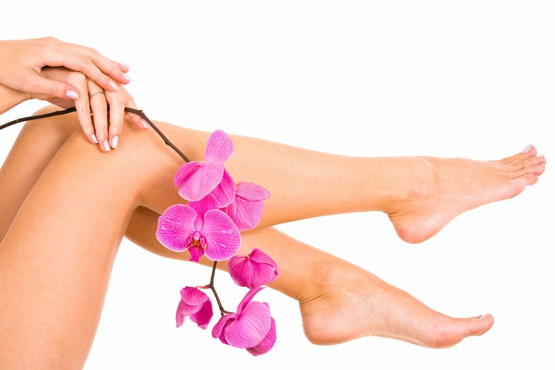 Women's legs are not affected by varicose veins